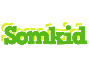 Somkid picnic logo