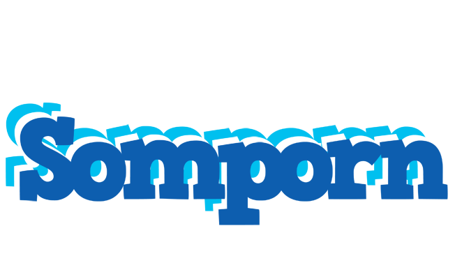 Somporn business logo