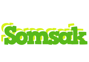 Somsak picnic logo