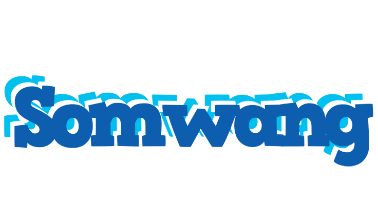 Somwang business logo