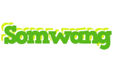 Somwang picnic logo