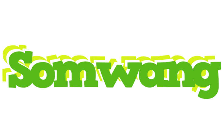 Somwang picnic logo