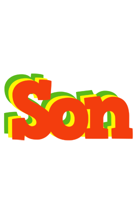 Son bbq logo