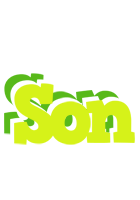 Son citrus logo