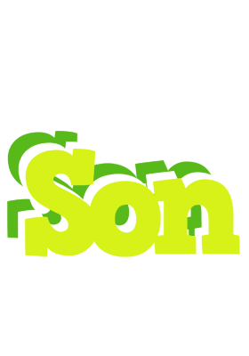 Son citrus logo