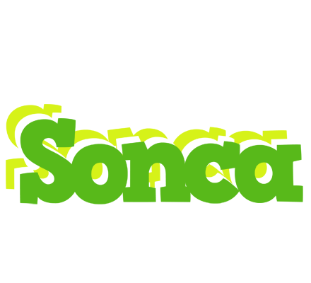 Sonca picnic logo