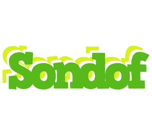 Sondof picnic logo