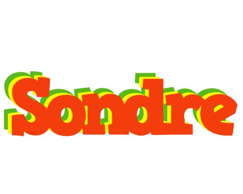 Sondre bbq logo