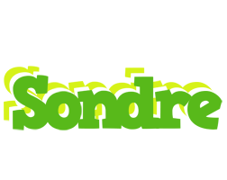 Sondre picnic logo