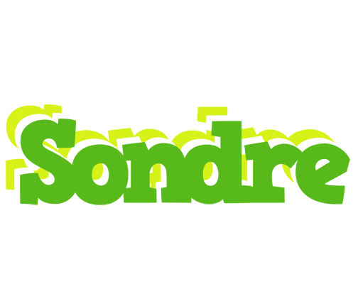 Sondre picnic logo