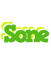 Sone picnic logo