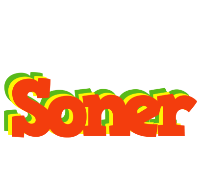Soner bbq logo