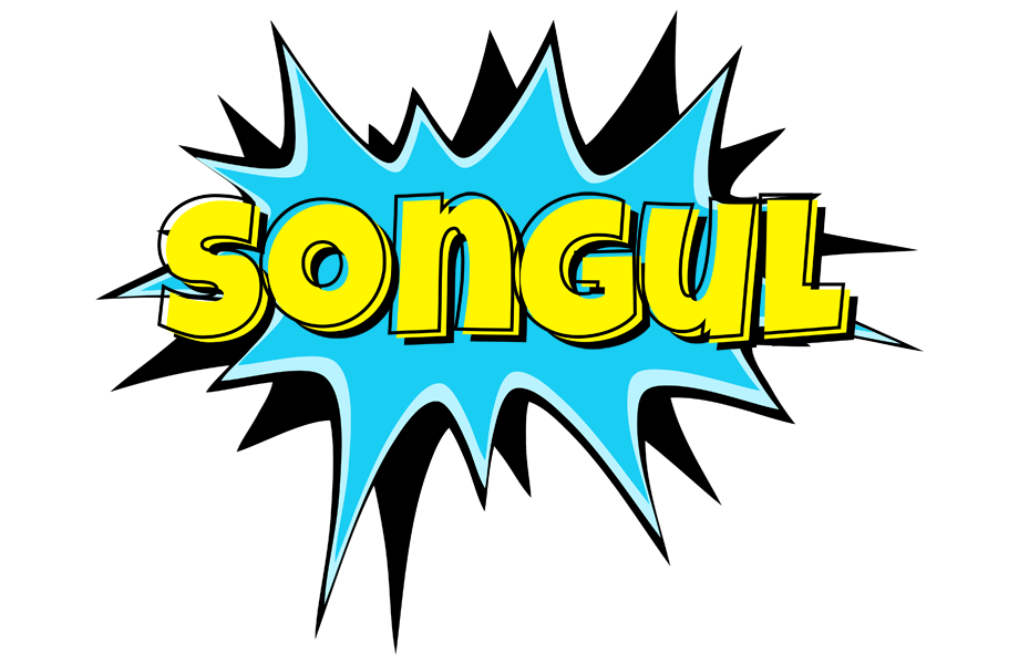 Songul amazing logo