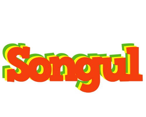 Songul bbq logo