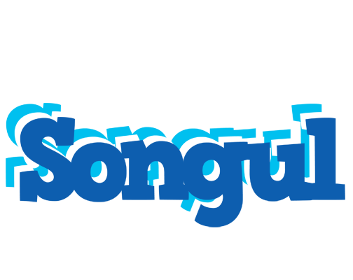 Songul business logo