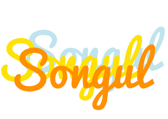 Songul energy logo