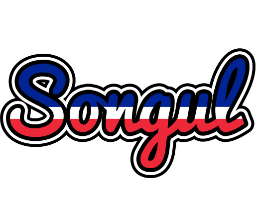 Songul france logo