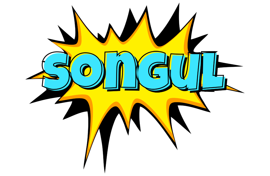 Songul indycar logo