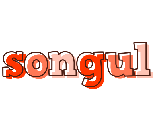 Songul paint logo