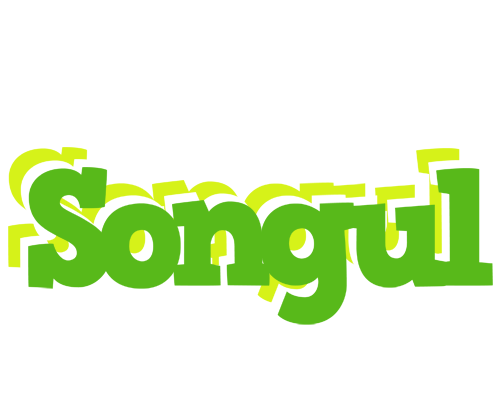Songul picnic logo