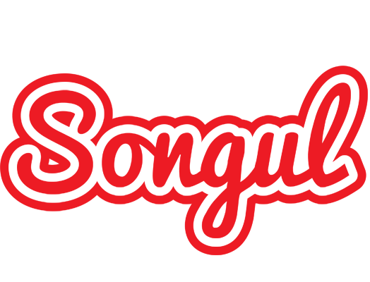Songul sunshine logo