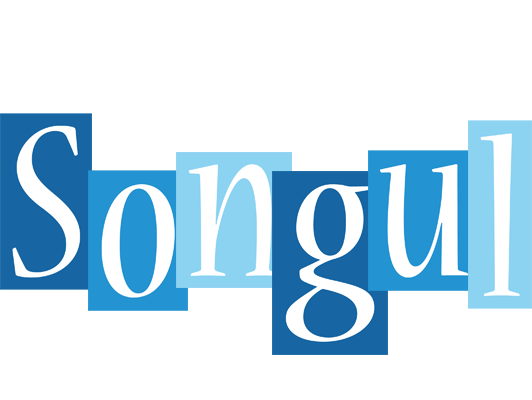 Songul winter logo