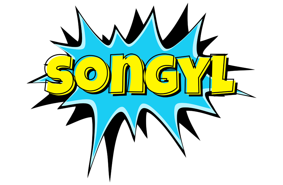 Songyl amazing logo