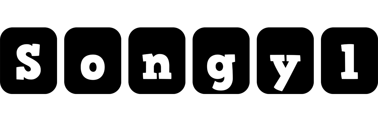Songyl box logo