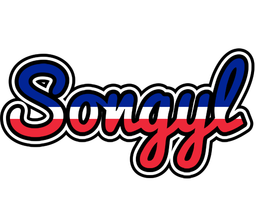 Songyl france logo