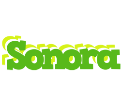 Sonora picnic logo