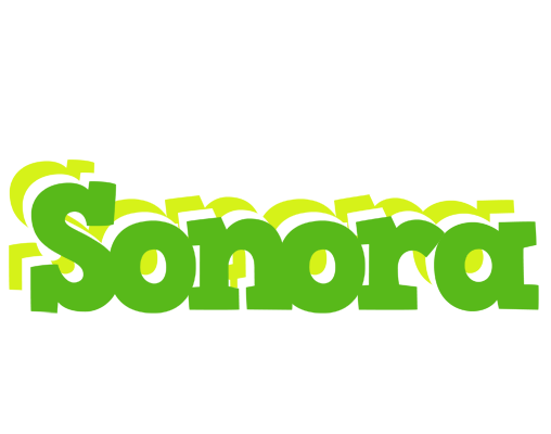 Sonora picnic logo