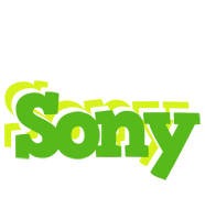 Sony picnic logo