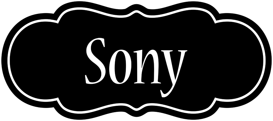 Sony welcome logo