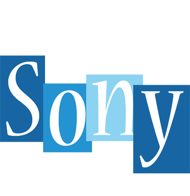 Sony winter logo