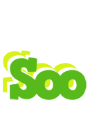 Soo picnic logo