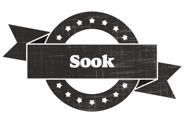 Sook grunge logo