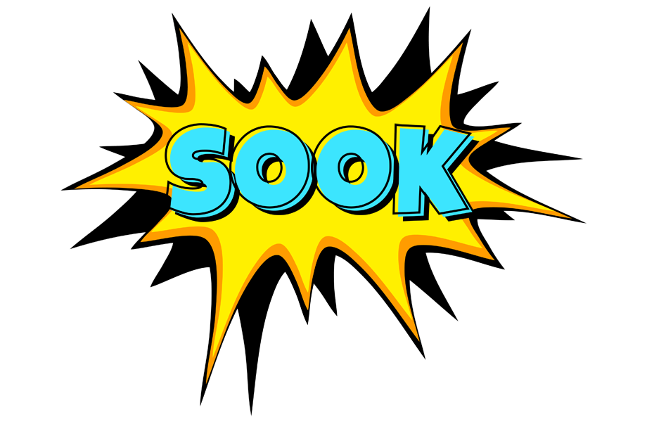 Sook indycar logo