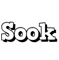 Sook snowing logo