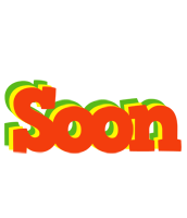 Soon bbq logo