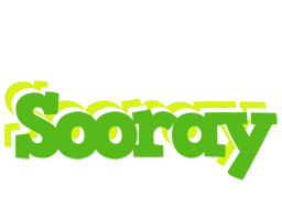 Sooray picnic logo