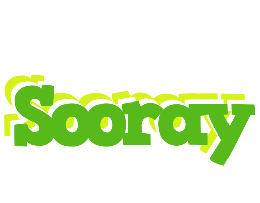 Sooray picnic logo