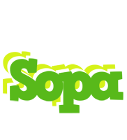 Sopa picnic logo