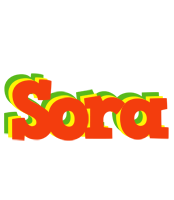 Sora bbq logo