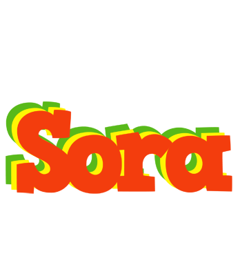 Sora bbq logo