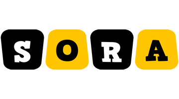 Sora boots logo