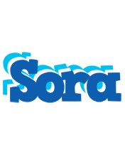 Sora business logo