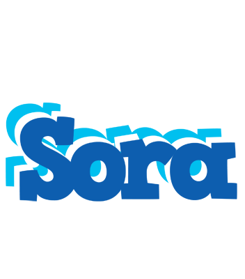 Sora business logo