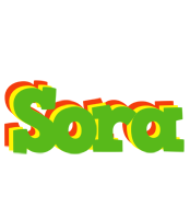 Sora crocodile logo