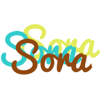 Sora cupcake logo