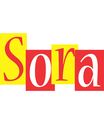 Sora errors logo